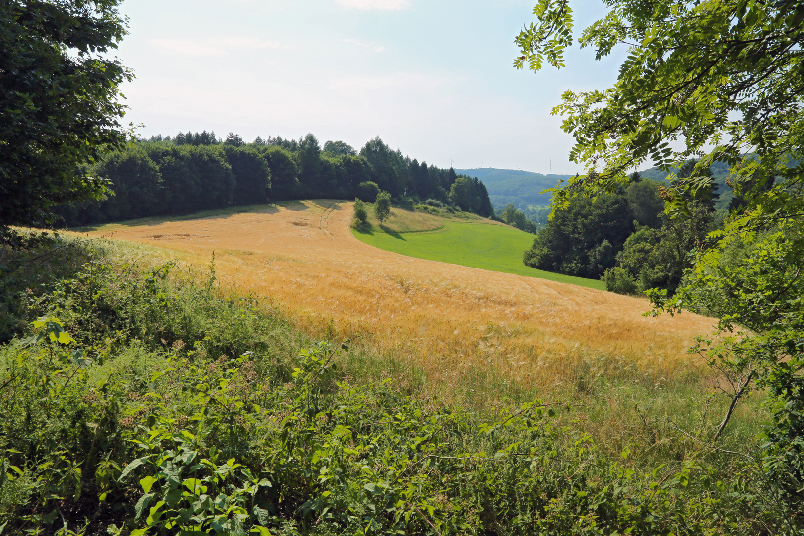 Sommersonne über der Elfringhauser Schweiz