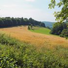 Sommersonne über der Elfringhauser Schweiz