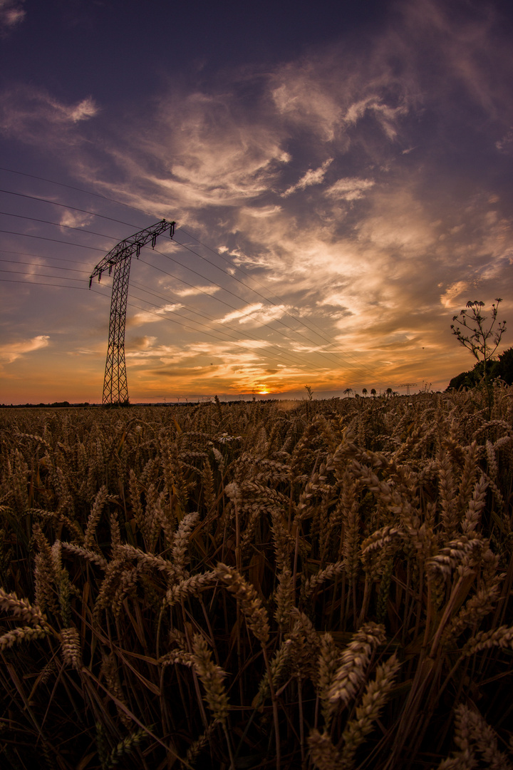 Sommer,Sonne und Sonnenuntergang