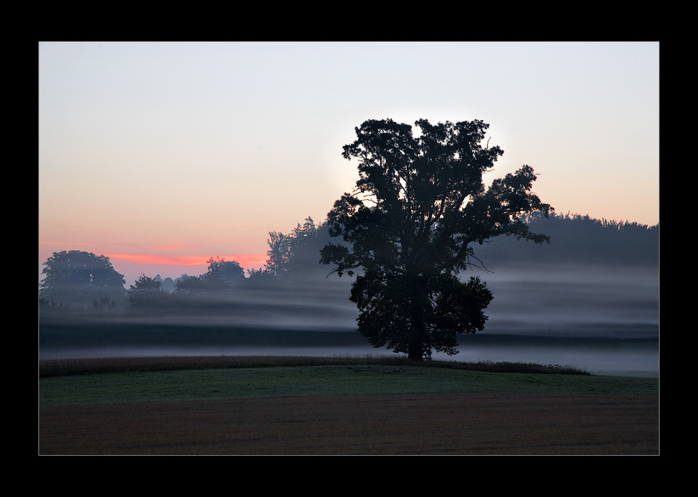 Sommersonnenaufgang