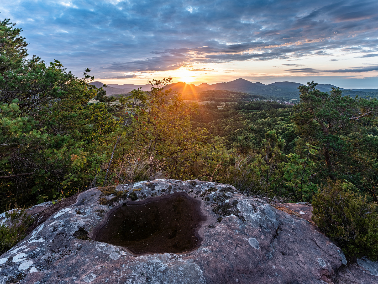 Sommersonnenaufgang im Pfälzerwald