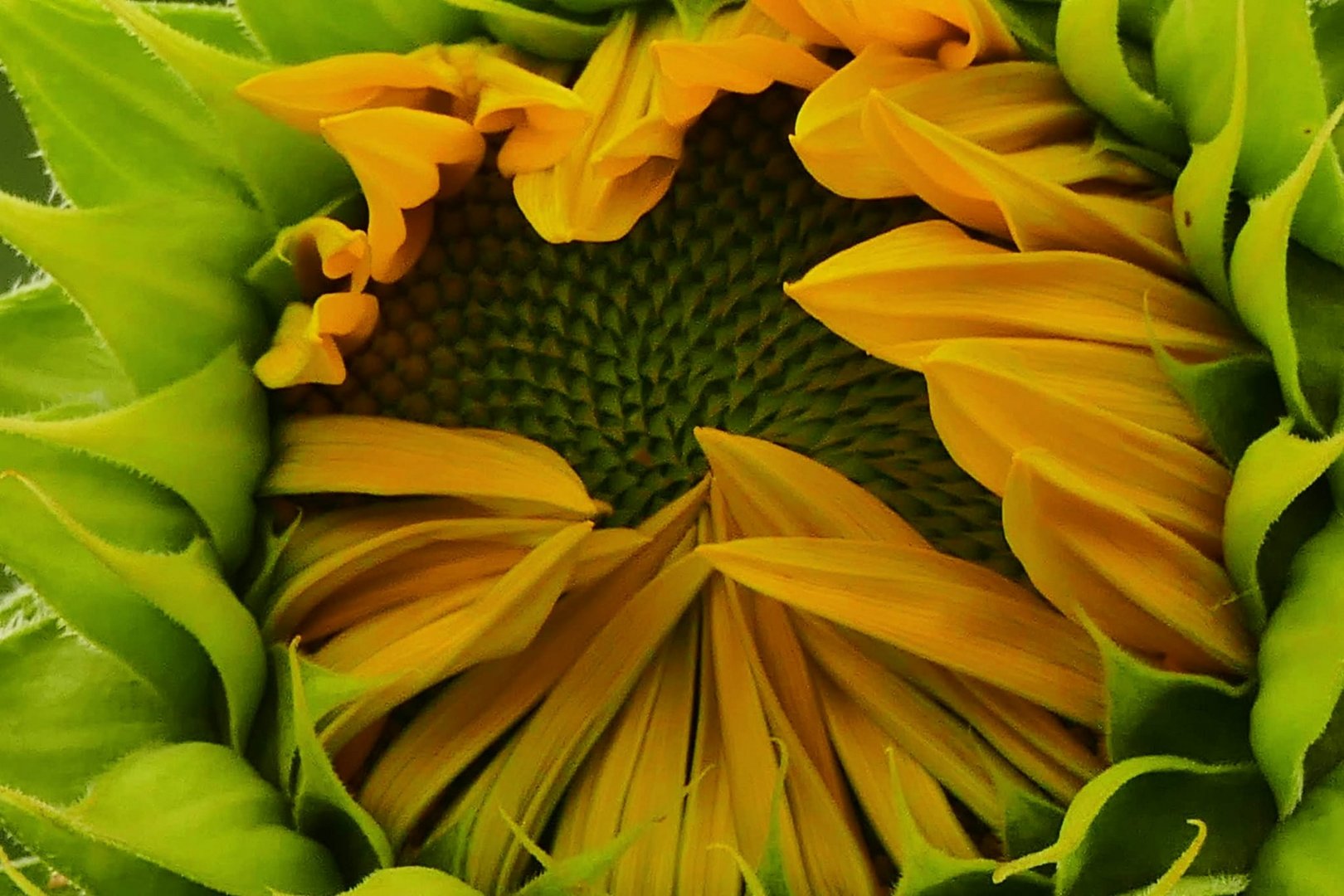 Sommersonnenfeeling im März 