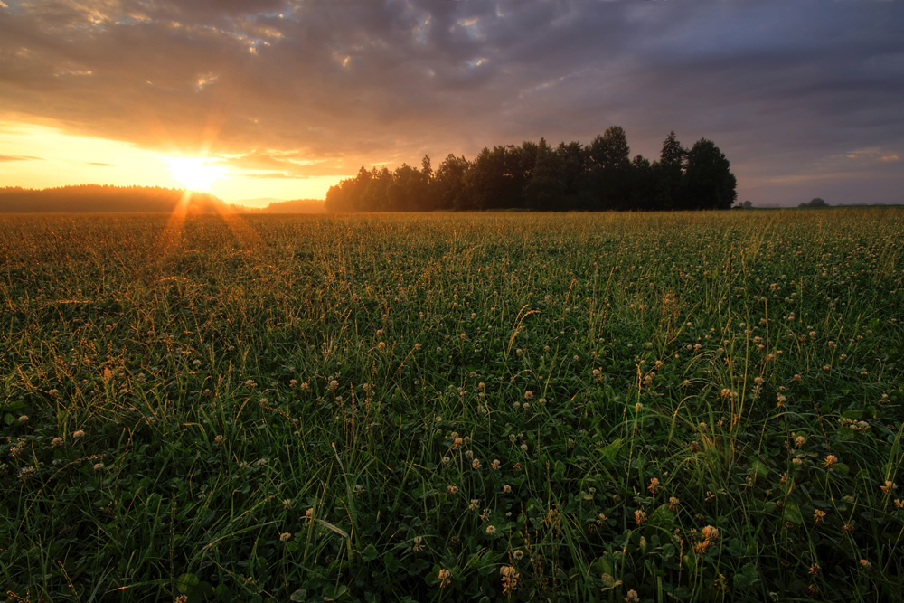 sommersonnenmorgentaukuss