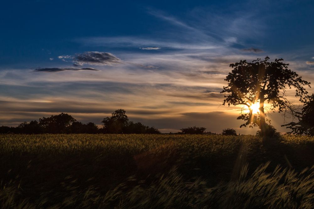 Sommersonnenuntergang