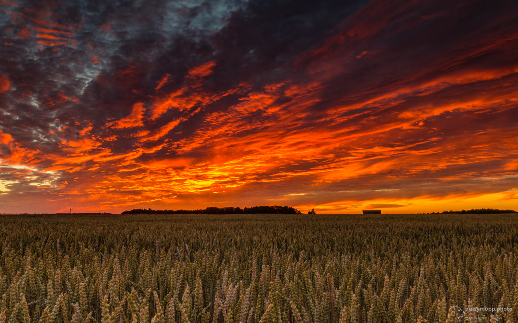 Sommersonnenuntergang