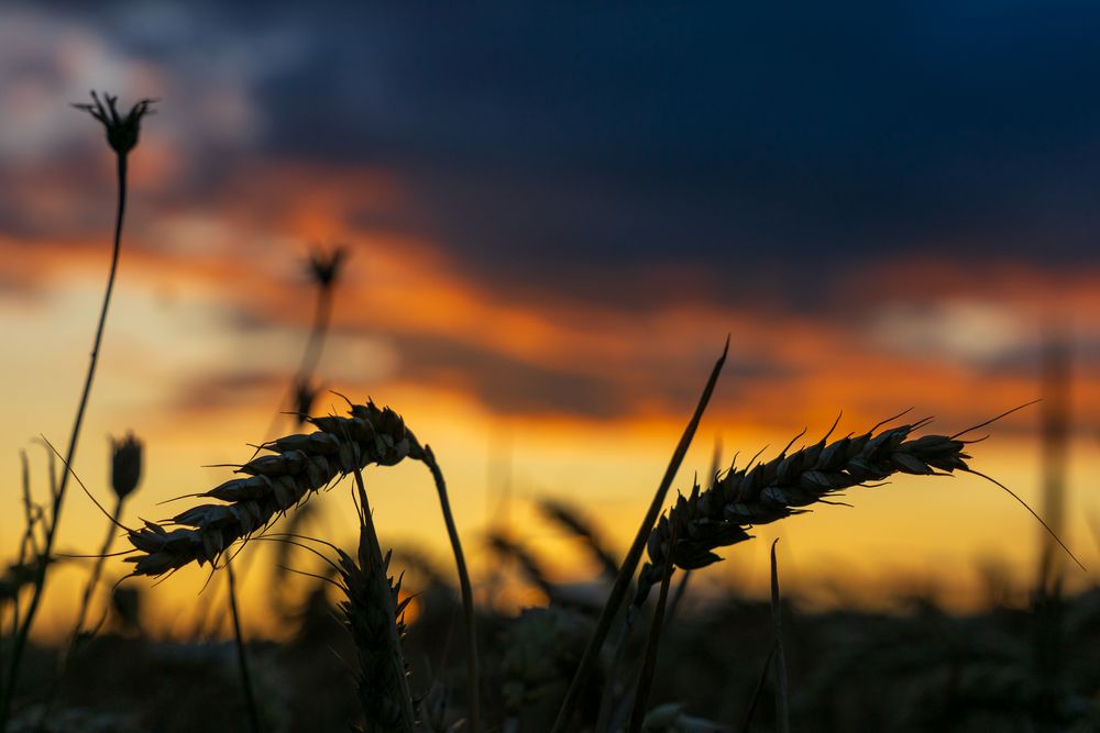 Sommersonnenuntergang