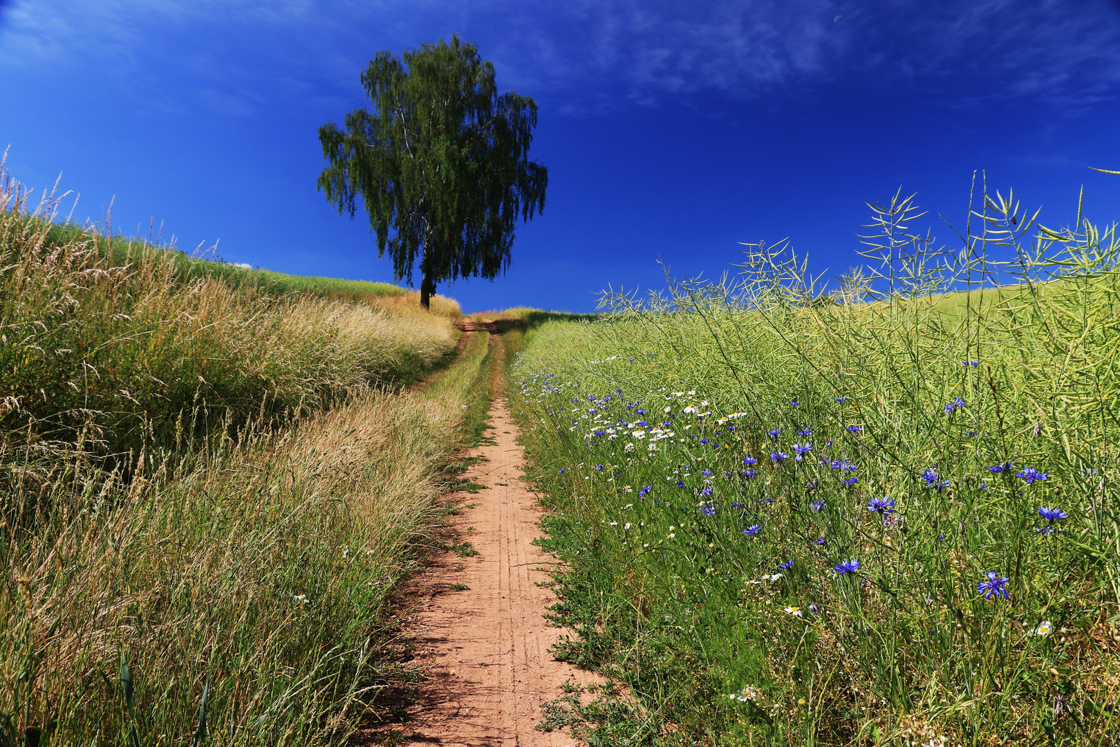 Sommersonnenwende