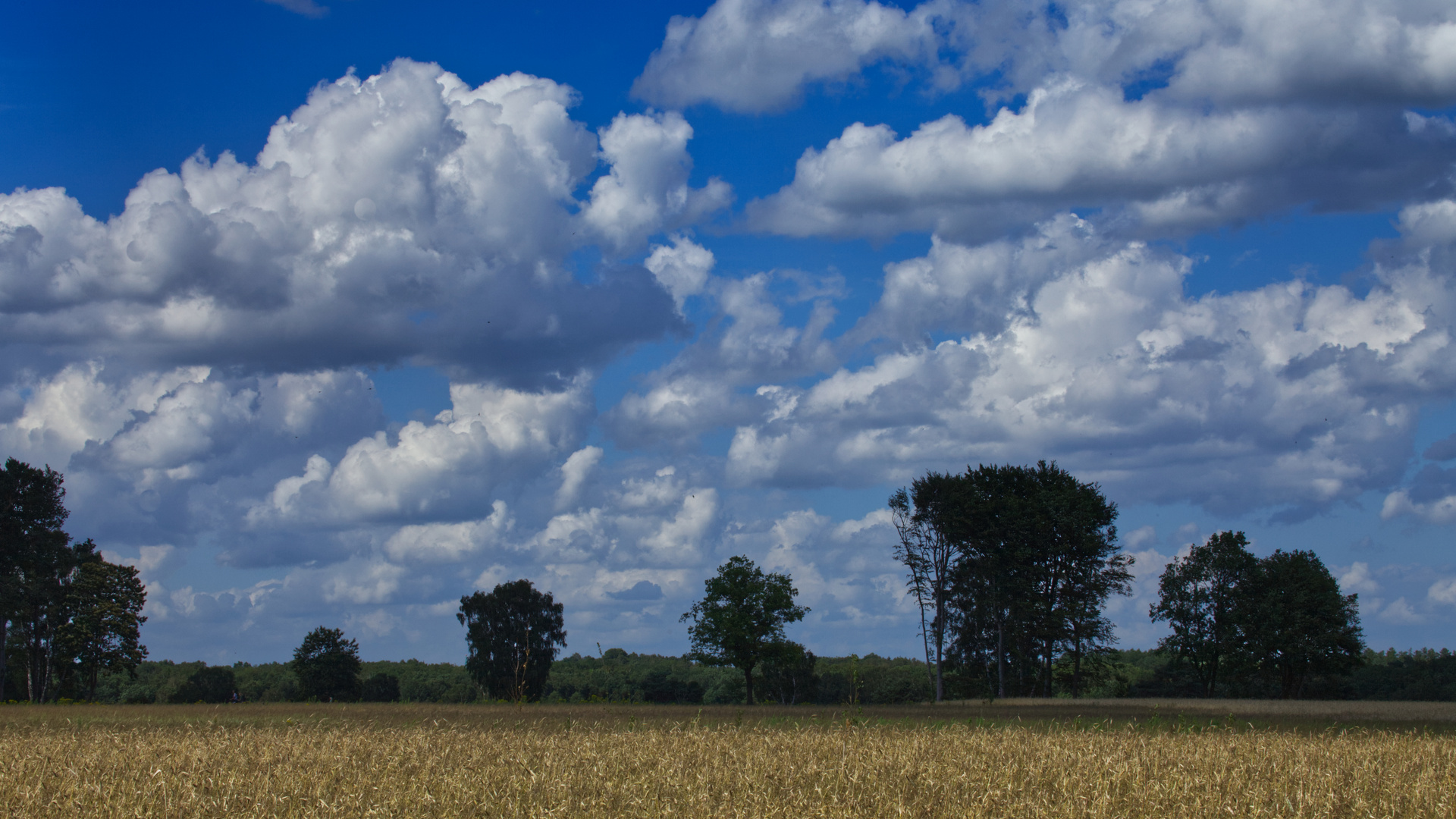 *** SommerSonnenWolken ***