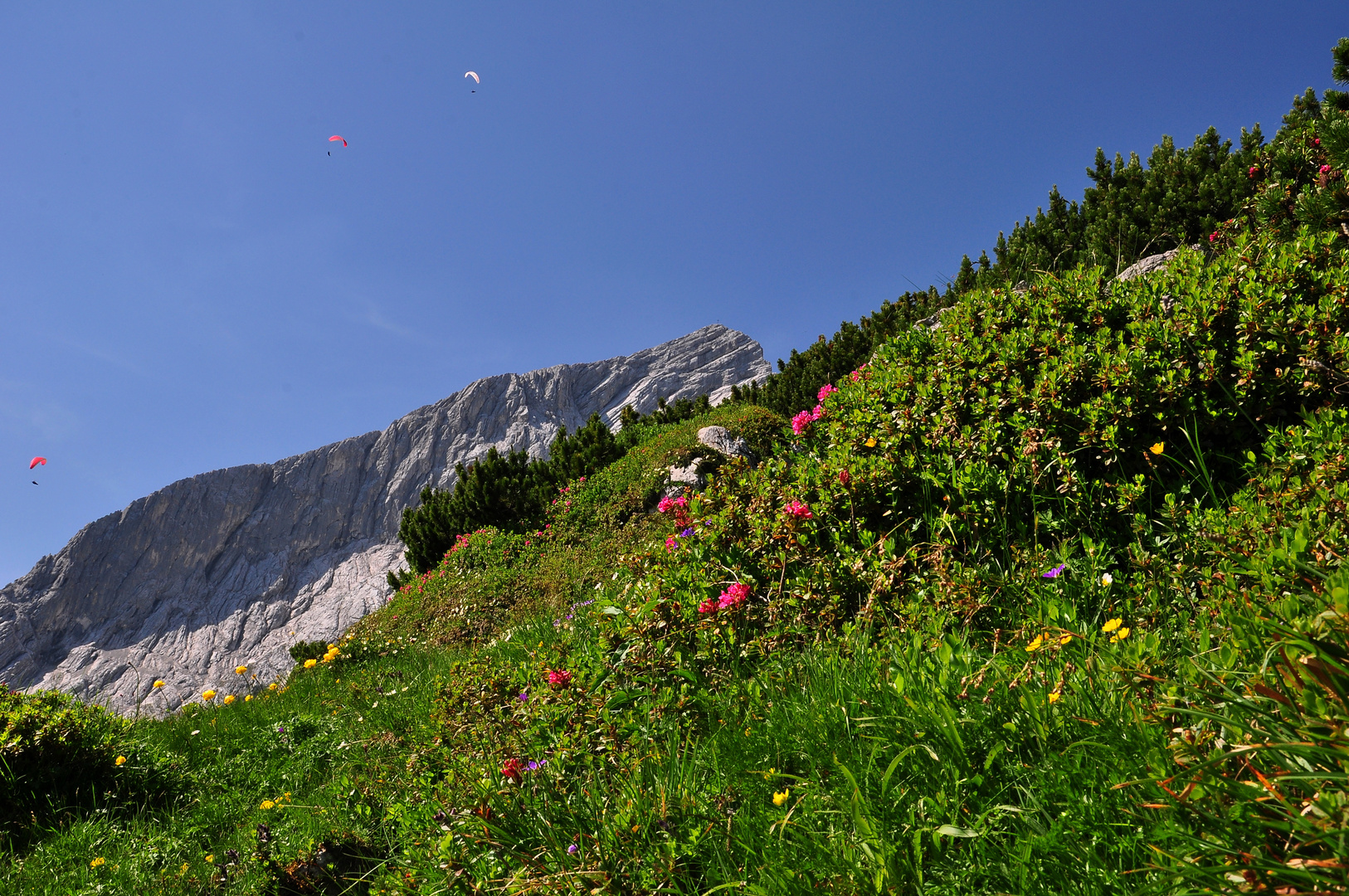 SommerSonneSonntag im Gebirge