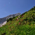 SommerSonneSonntag im Gebirge