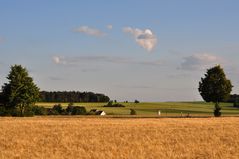 Sommer,Sonne,Weizenfelder...