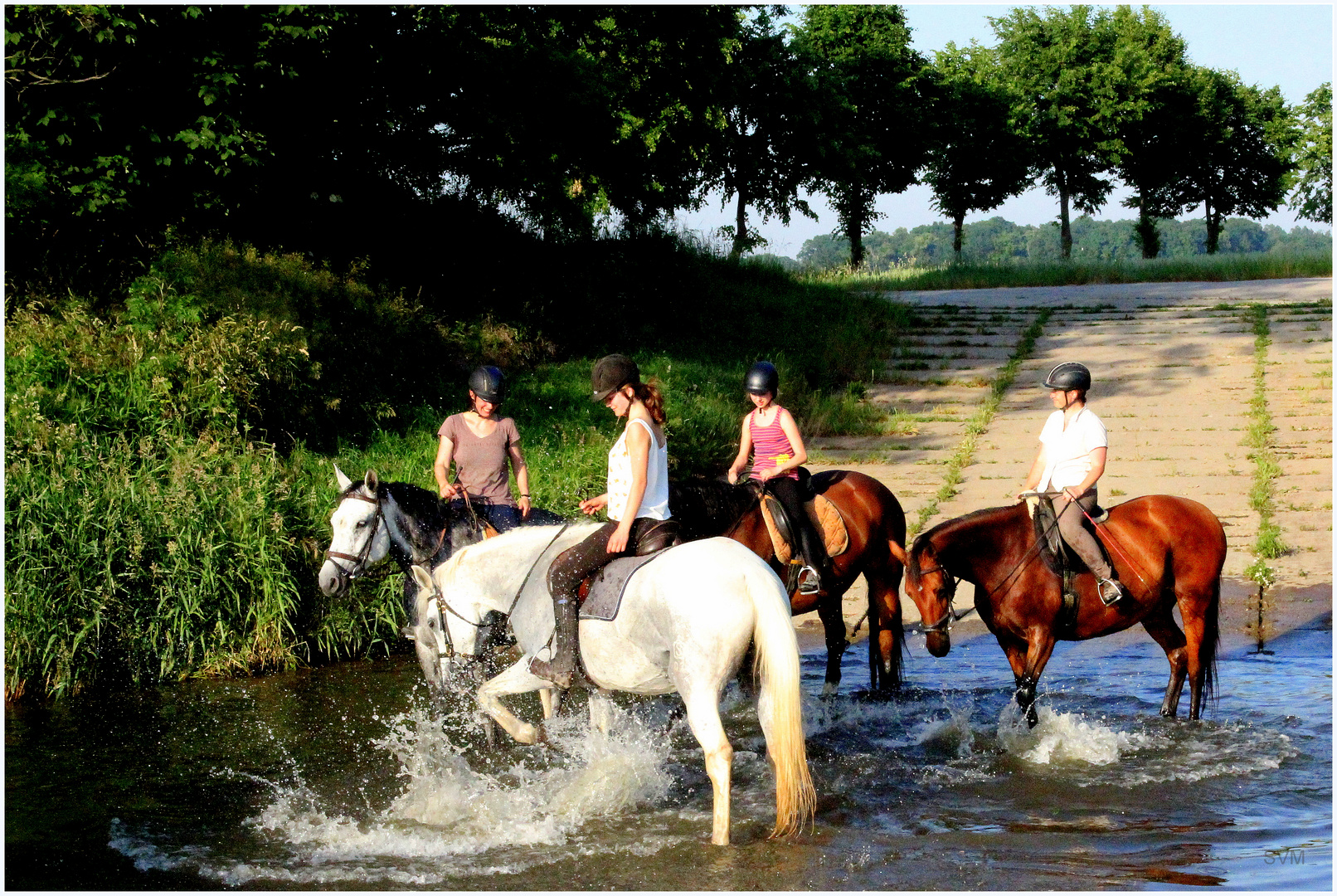 Sommerspaß für Reiter und Pferd