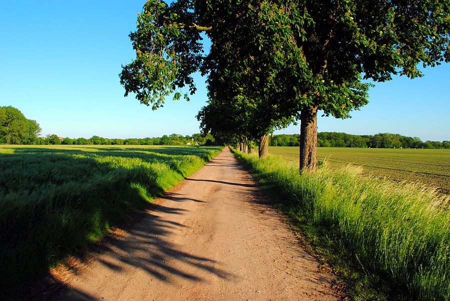 Sommerspaziergang