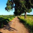 Sommerspaziergang