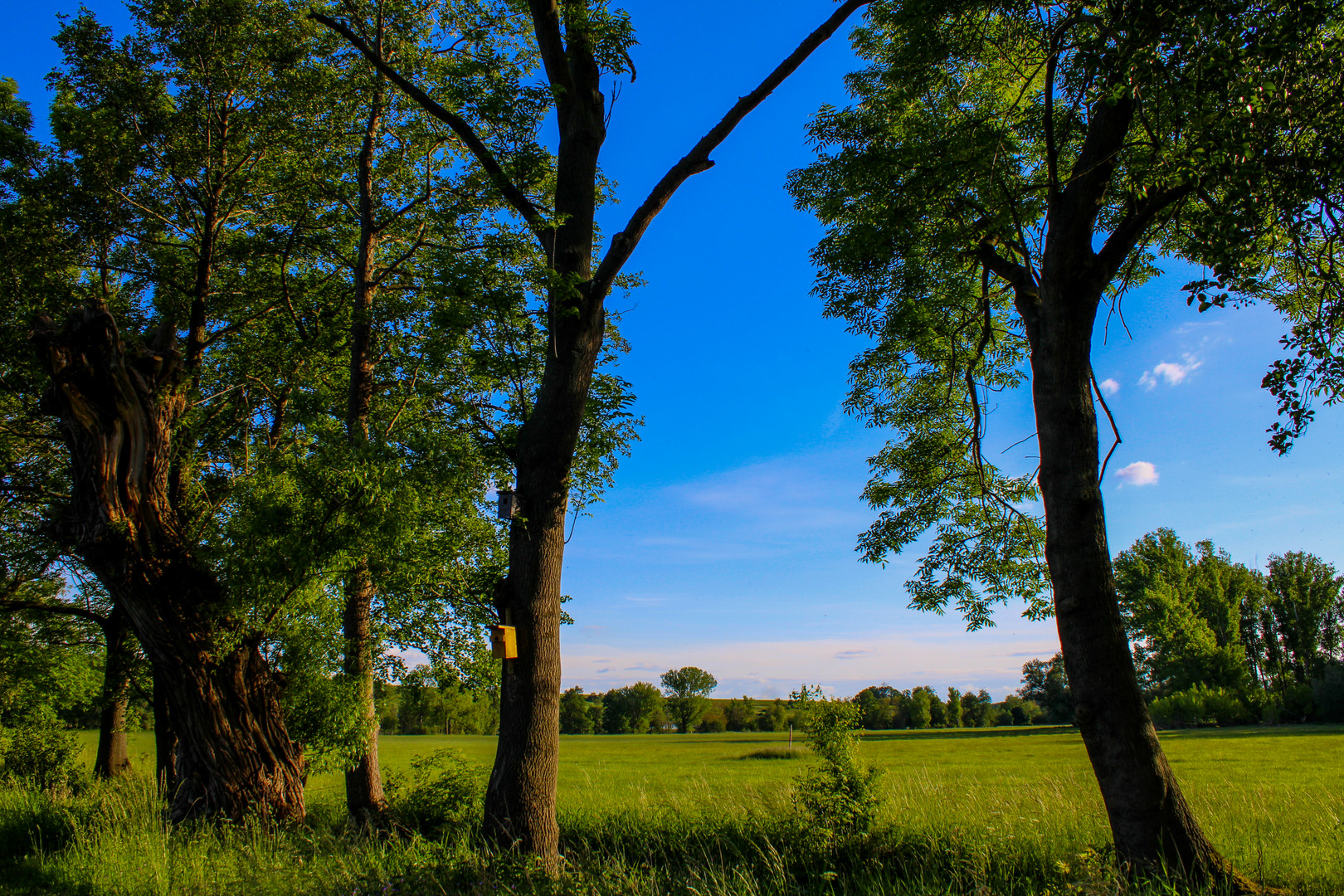 Sommerspaziergang