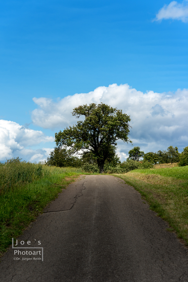 Sommerspaziergang