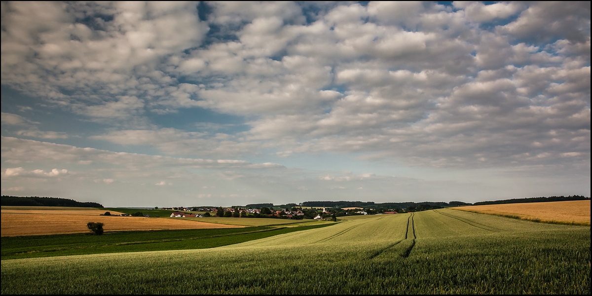 -Sommerspaziergang-