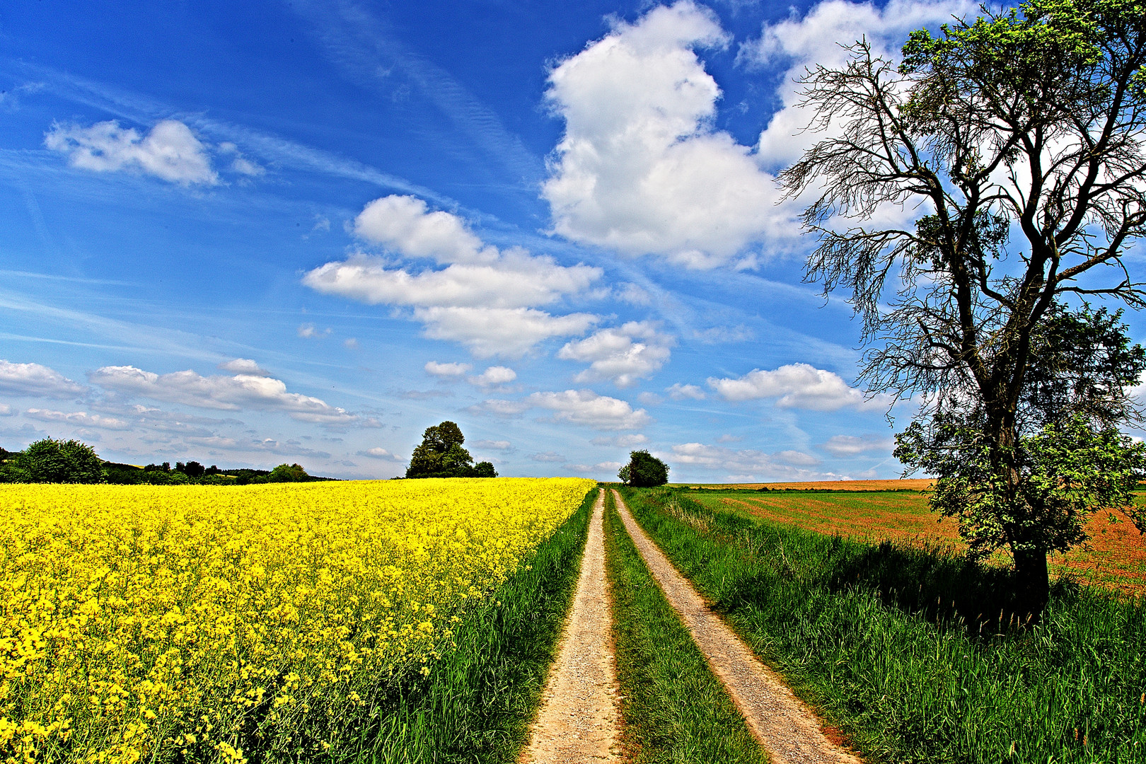 Sommerspaziergang