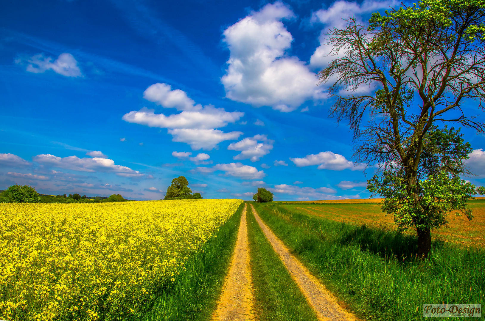 Sommerspaziergang