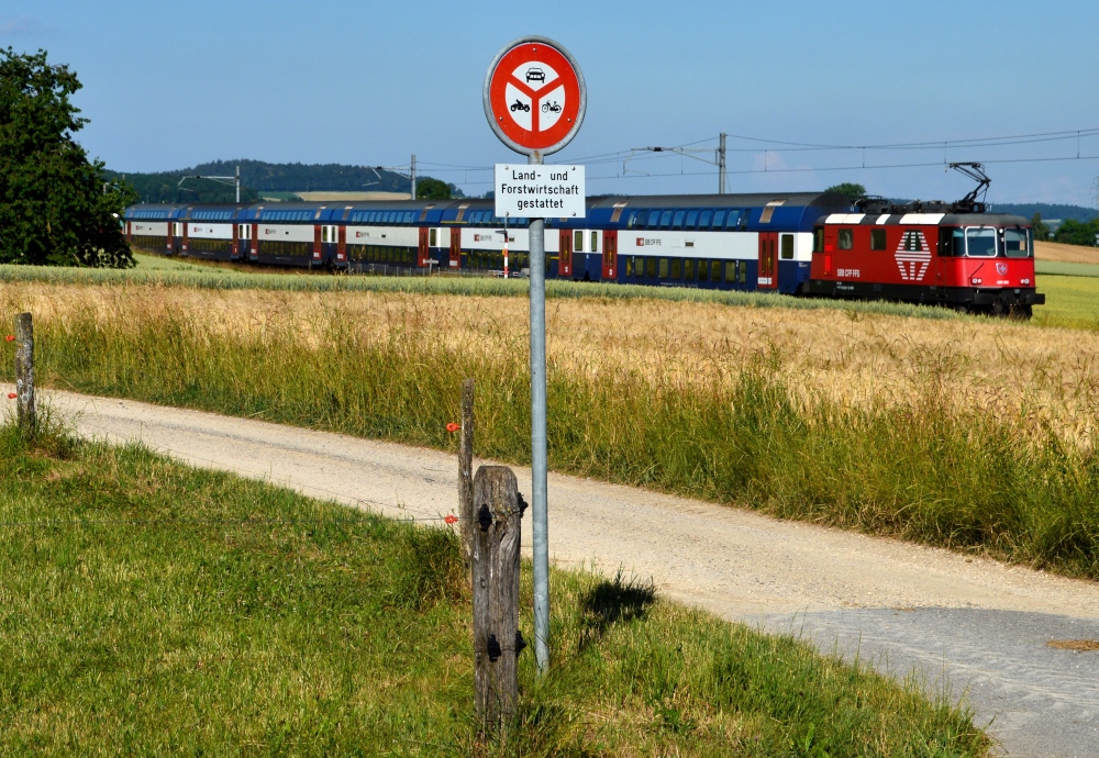 Sommerspaziergang