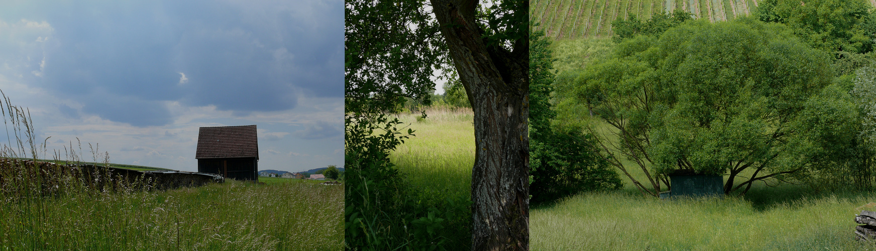 Sommerspaziergang zwischen Hof und Lembach