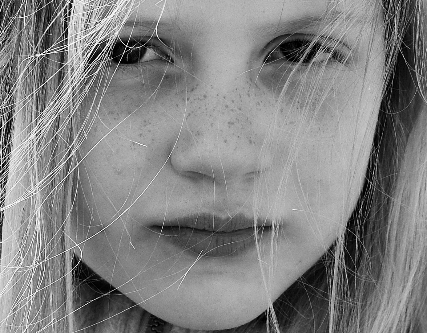SOMMERSPROSSEN Foto & Bild fehmke Bilder auf
