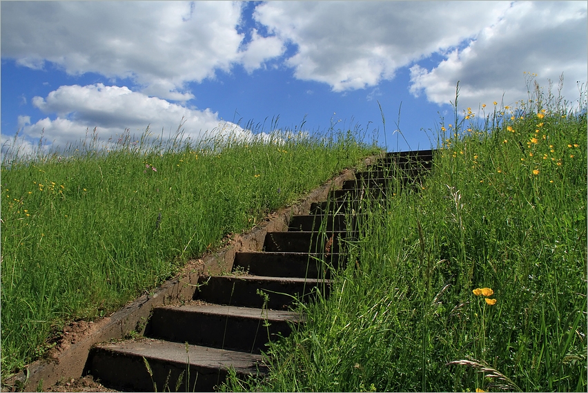 Sommersprossen