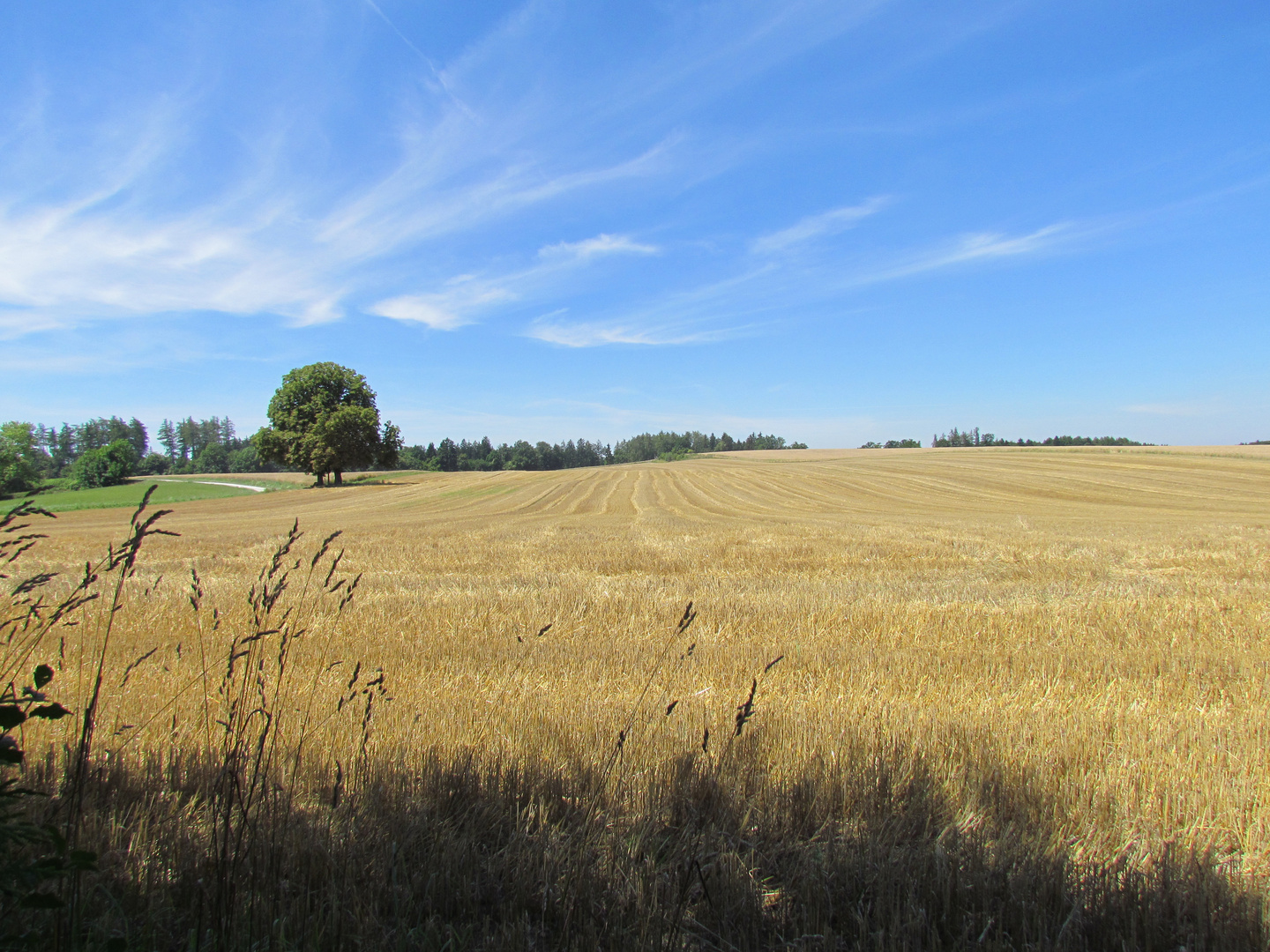 Sommerstimmung