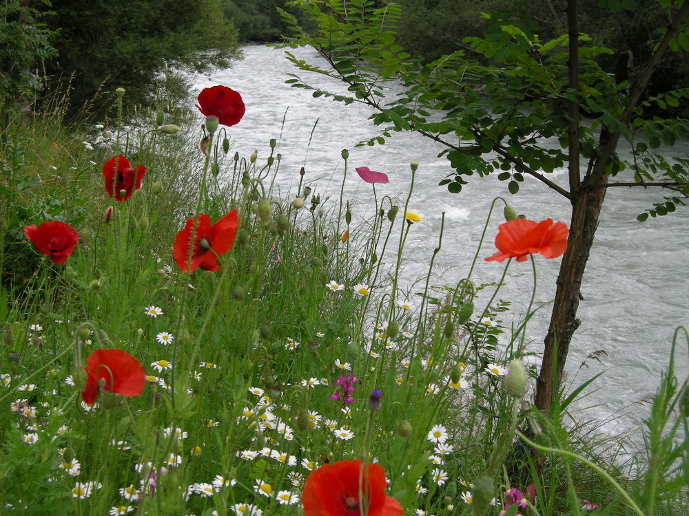 Sommerstimmung