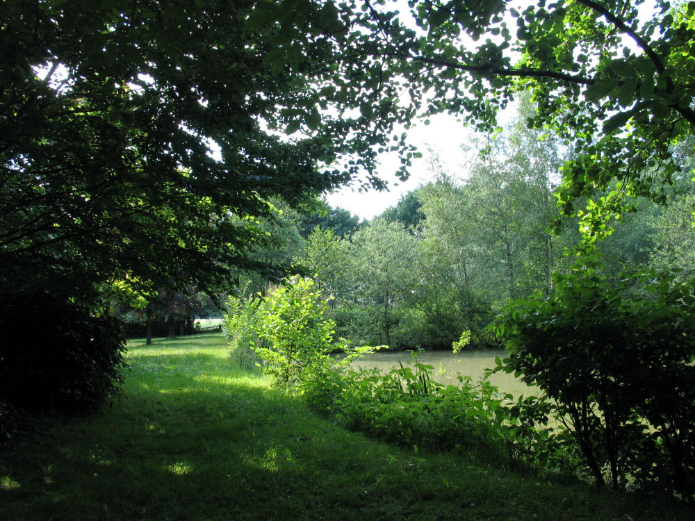 Sommerstimmung am Teich 2