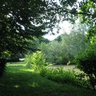 Sommerstimmung am Teich 2