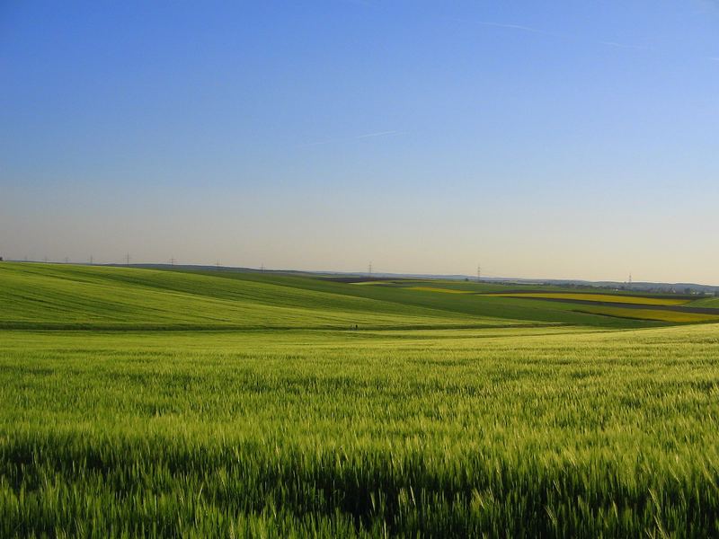 Sommerstimmung in Franken