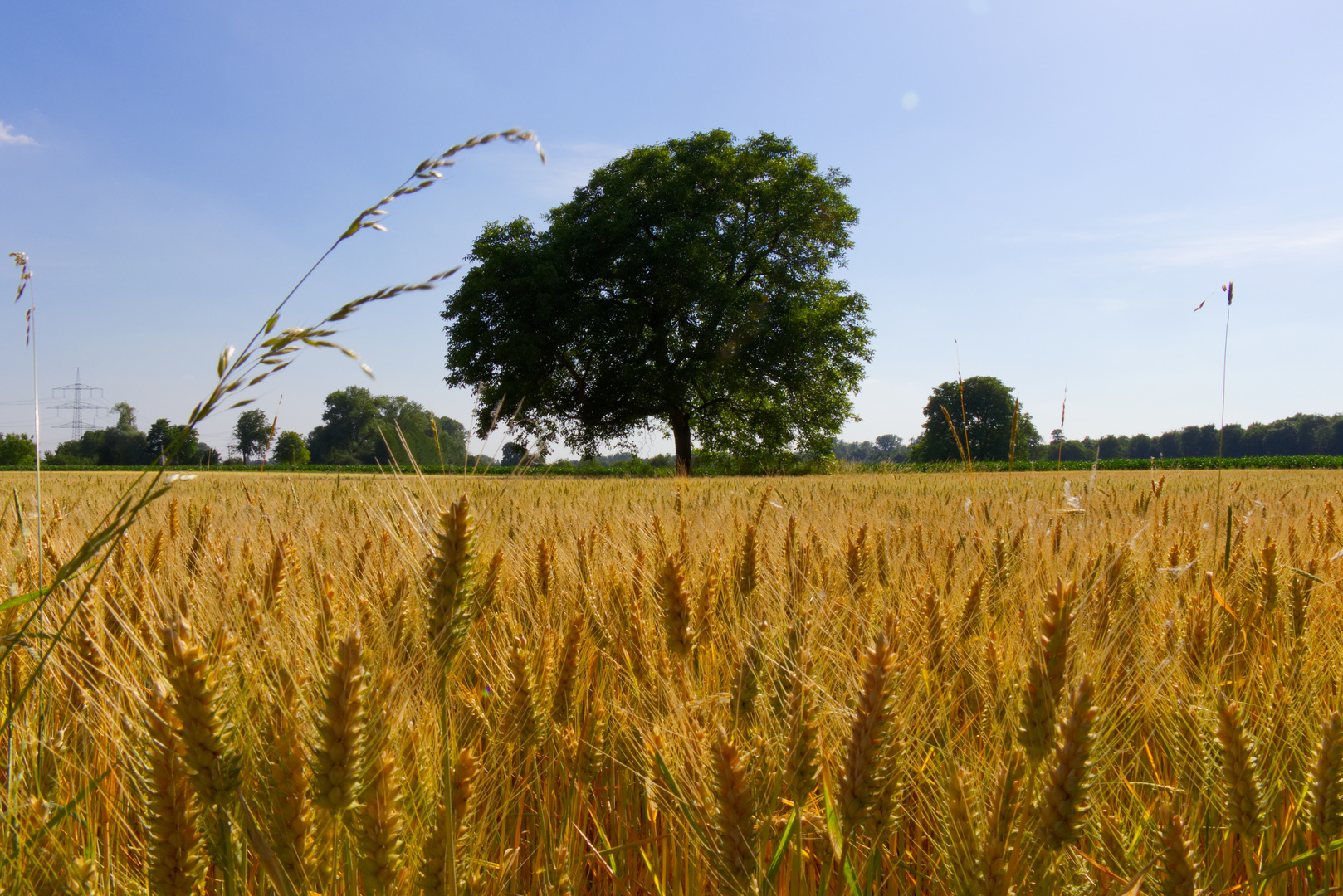 Sommertag