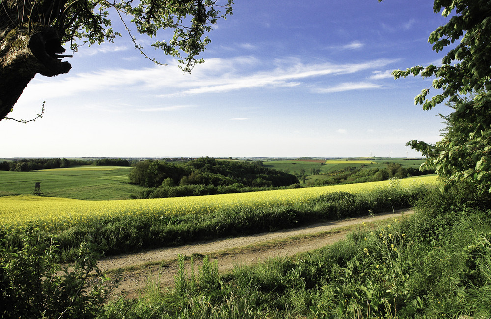 Sommertag