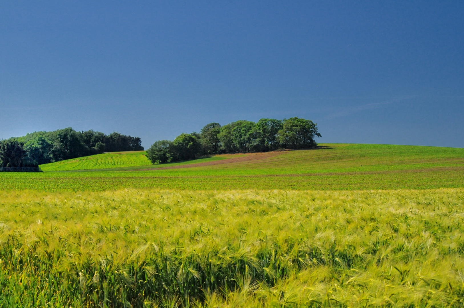 Sommertag