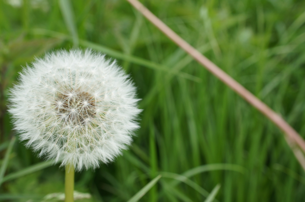 Sommertag