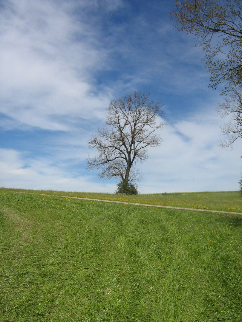 Sommertag