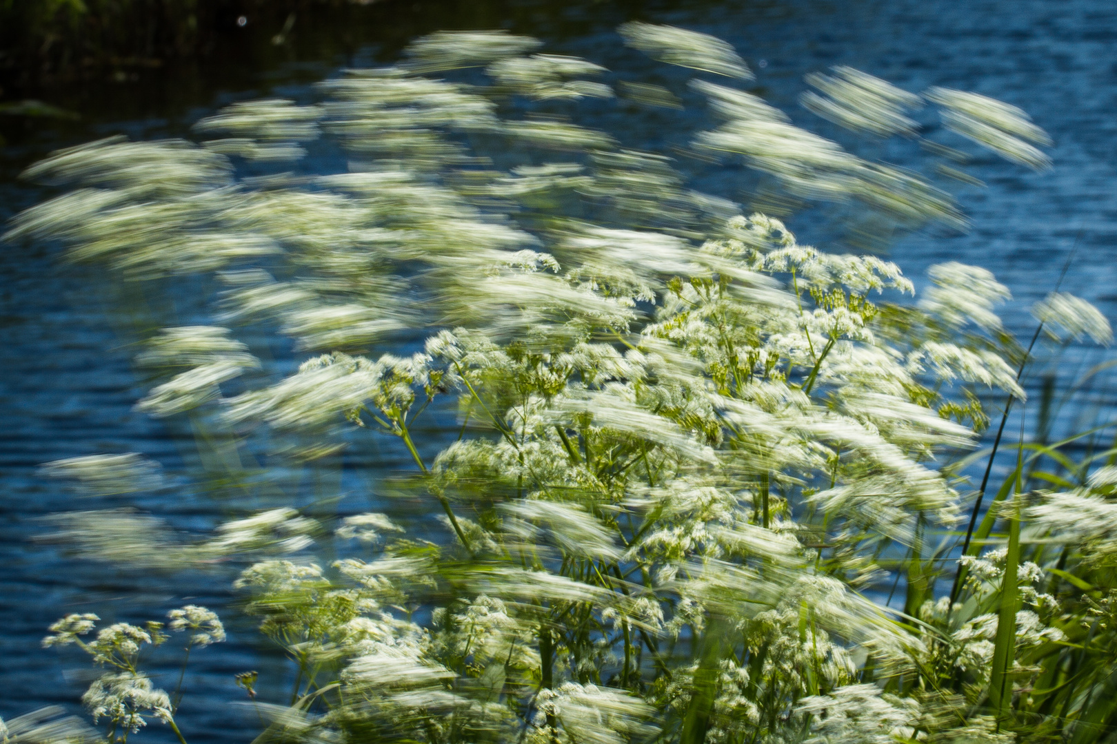 Sommertag