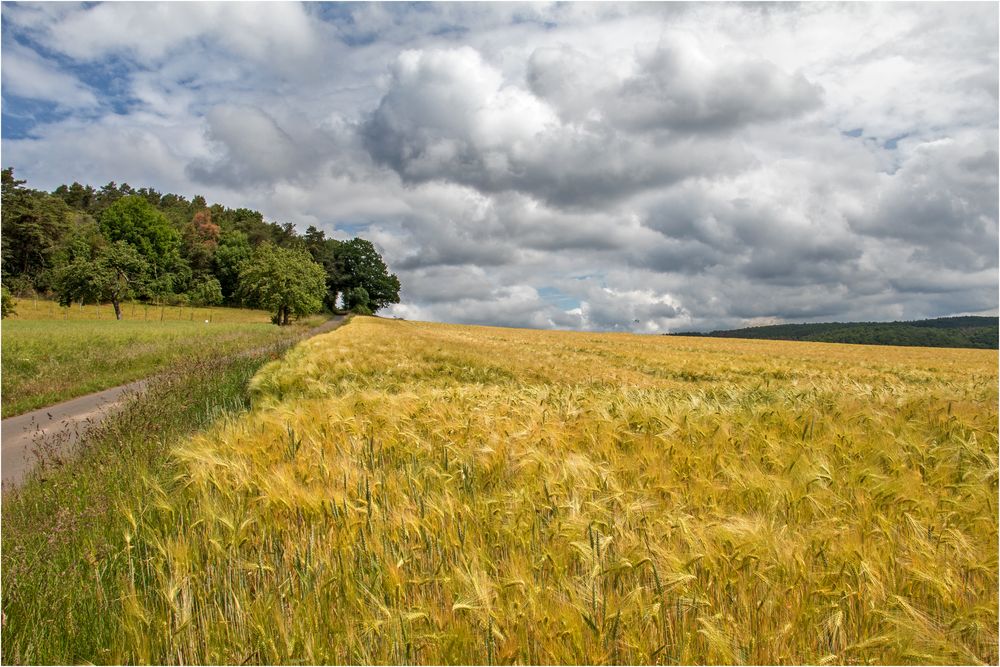 SommerTag