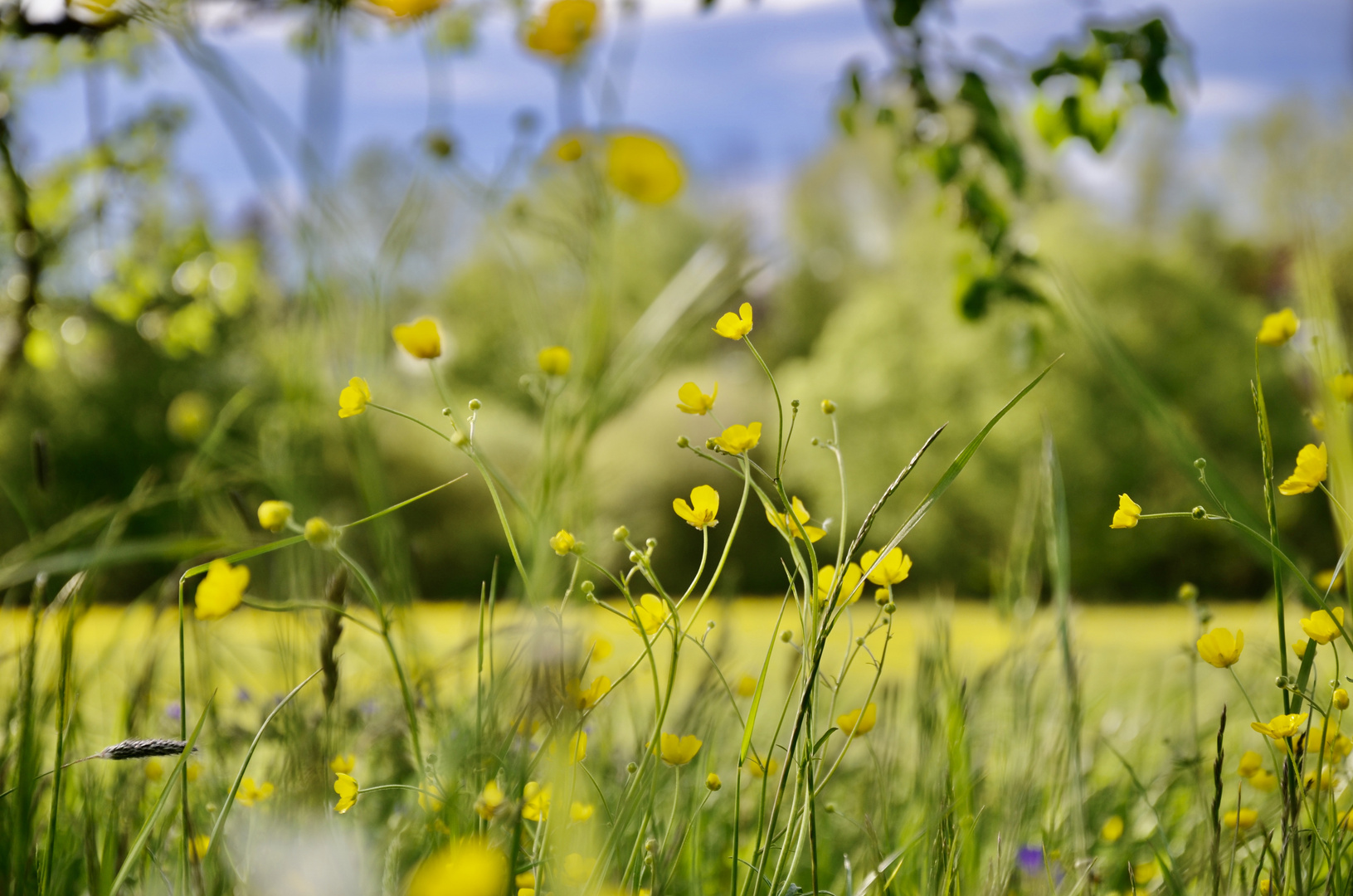 Sommertag