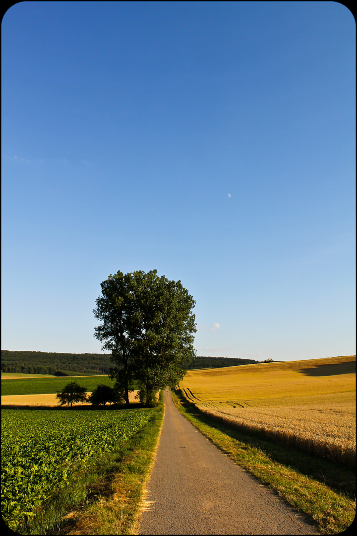 Sommertag