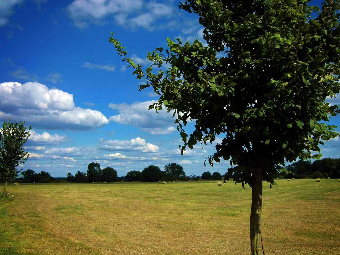 Sommertag