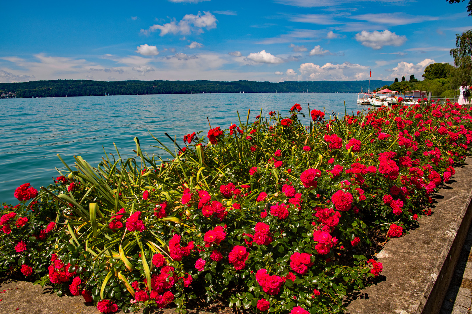 Sommertag am Bodensee 