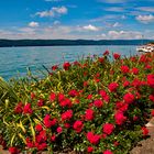 Sommertag am Bodensee 