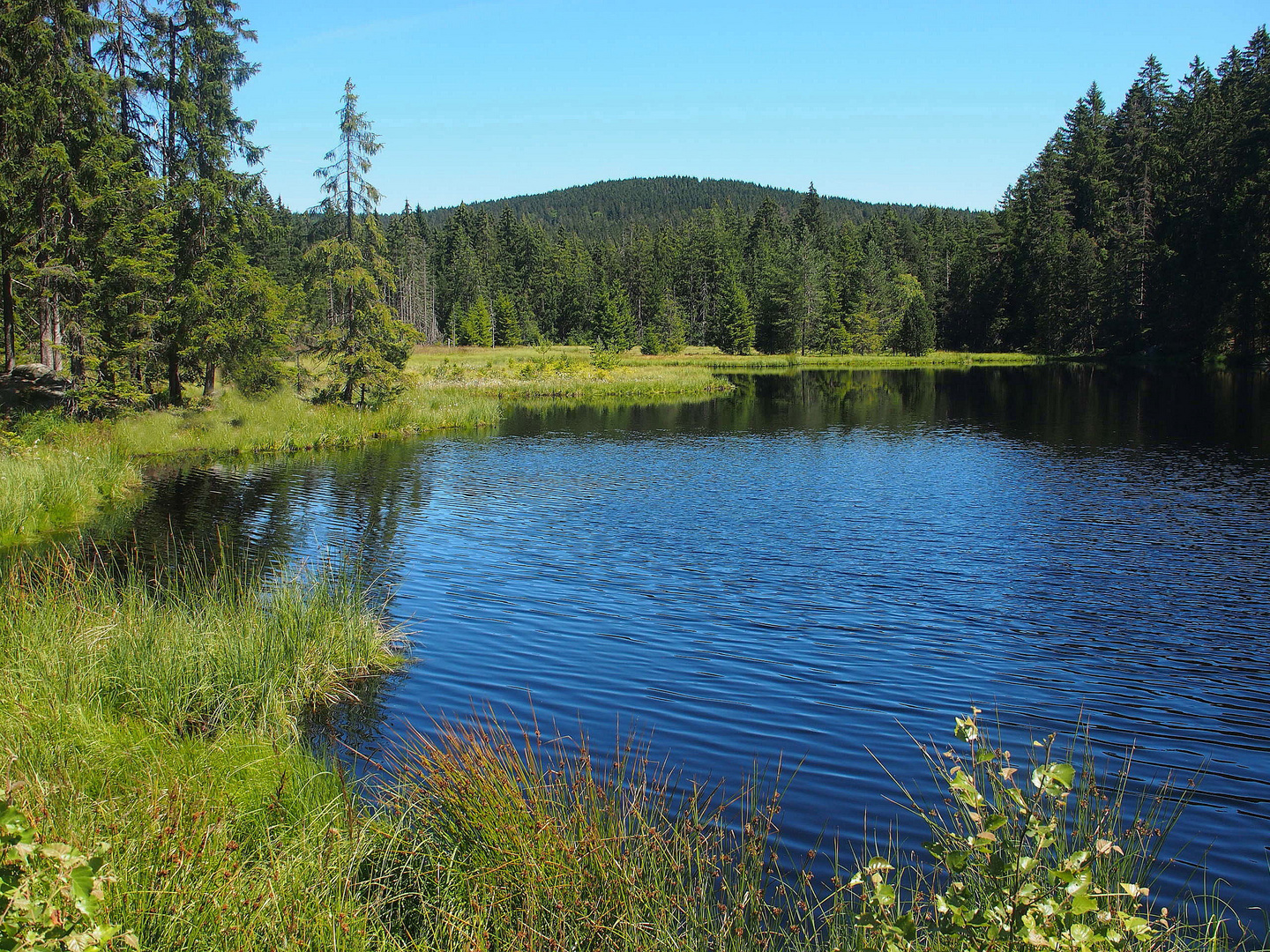 Sommertag am Fichtelsee