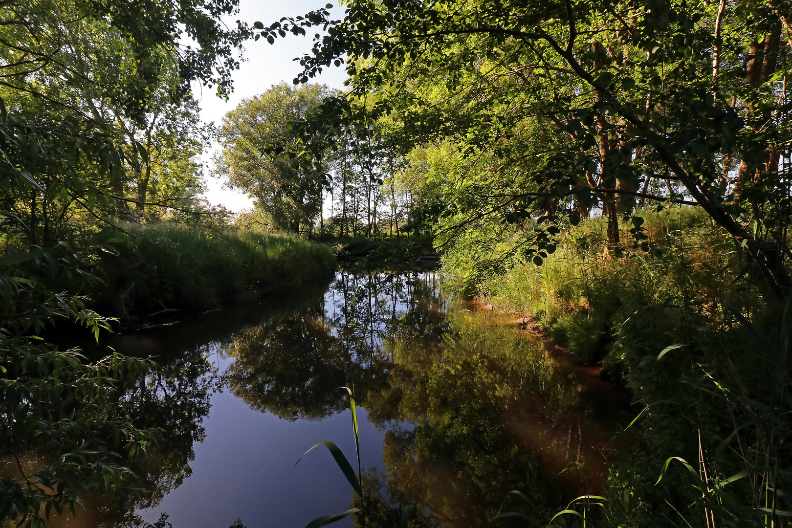 Sommertag am Fluss