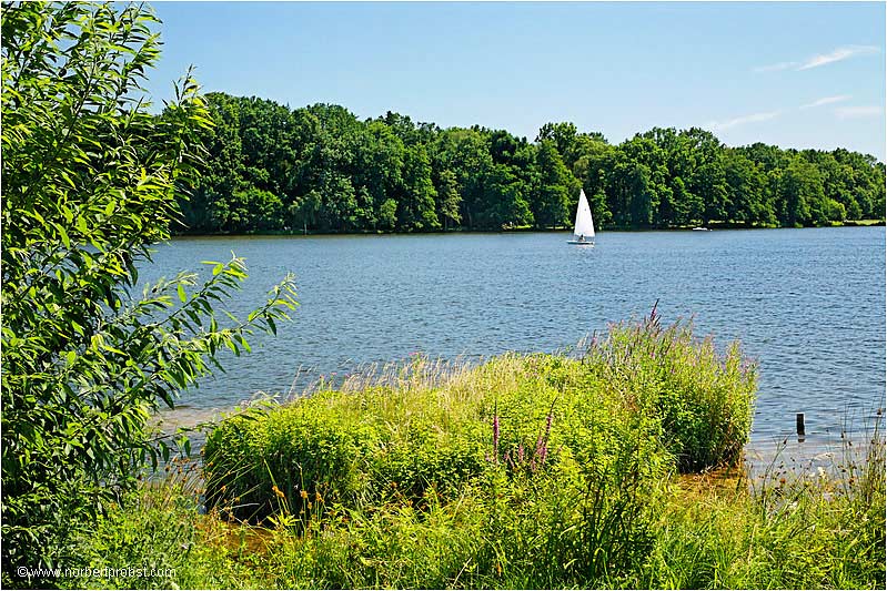 Sommertag am Großen Dutzendteich