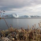 Sommertag am Icefjord..