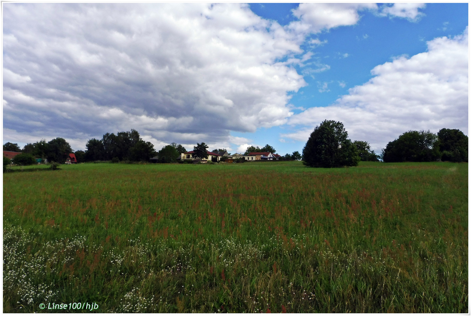 Sommertag am Rand von Berlin-1-