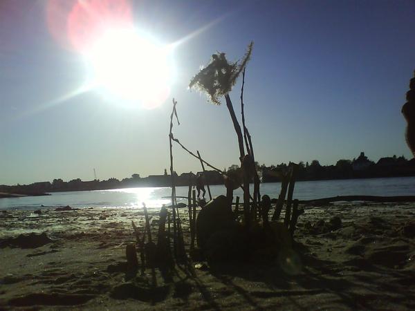 Sommertag am Rhein